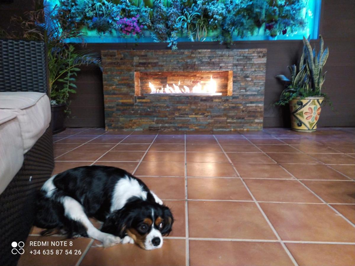 3 Bdr House Near La Zenia Private Lounge Terraces, Fire Places, Bbq, Kitchen, Parking Orihuela Zewnętrze zdjęcie